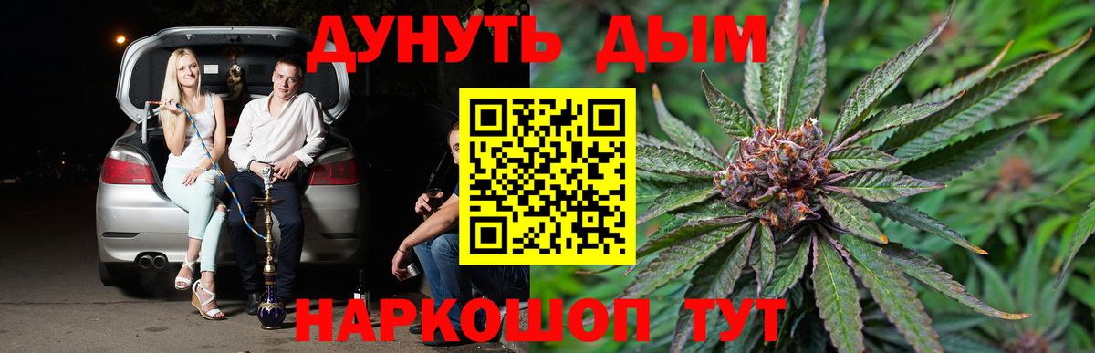 Каннабис конопля Углич